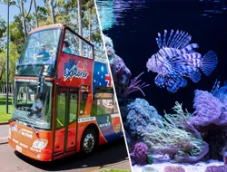 Combo (Save 5%): 24-Hour Hop-On Hop-Off Tour of Perth + Aquarium of Western Australia Tickets